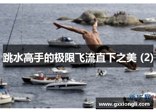 跳水高手的极限飞流直下之美 (2)