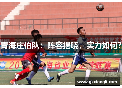 青海庄伯队：阵容揭晓，实力如何？